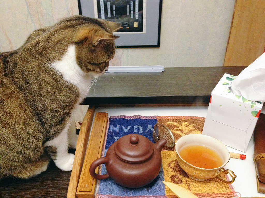 @T2OxfordStreet it's one from Darjeeling