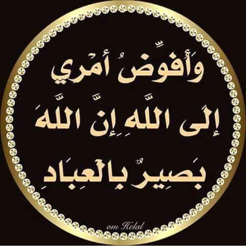 أصبر على الدنيا ونكبات الأيــــام
 وأتبع طريق الحـــــــق جره بجرّة
 
عن واقعك لاياخذك طيش الأحلام
 وأعرف ترى حاجتك للناس مـــرّة
💐💐💐💐💐💐💐💐💐