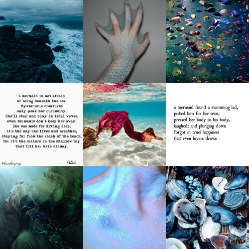 Mermaid_Francis's tweet image. "Mermaids are real, and I'm the living proof"

Not new to RP or character
Semi-New to AU
RT please?
Like for starter