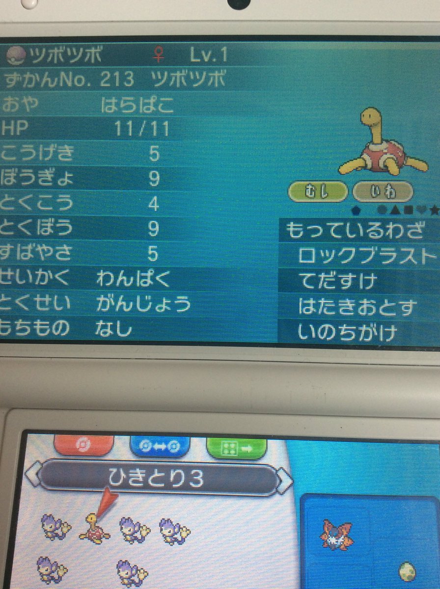 はらぱこ ミミッキュ オシャボ仲間募集 Pa Twitter カメさんはいかが 提供 ラブラブボール ツボツボ ポケモン交換 ポケモントレード ドリボ交換