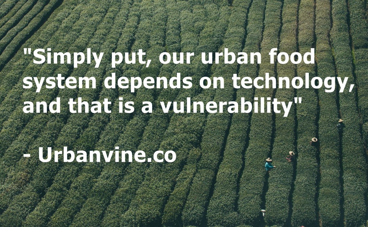basil_grower's tweet photo. Why #urbanfarming could play a key role in #national #security 

>>> https://t.co/ty8XbiZsWo https://t.co/hvBHcCACBV