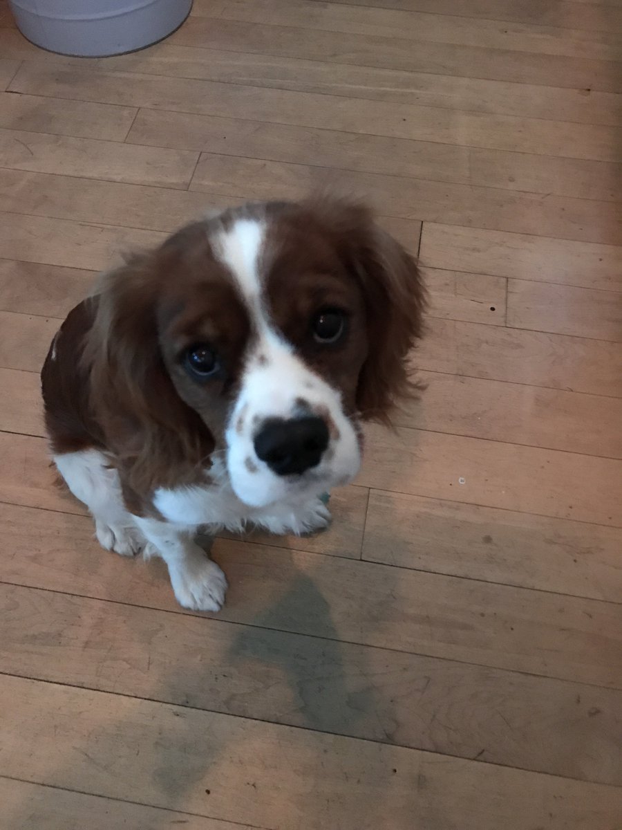 sandcodesigns's tweet image. #harvey #wants you to #vote