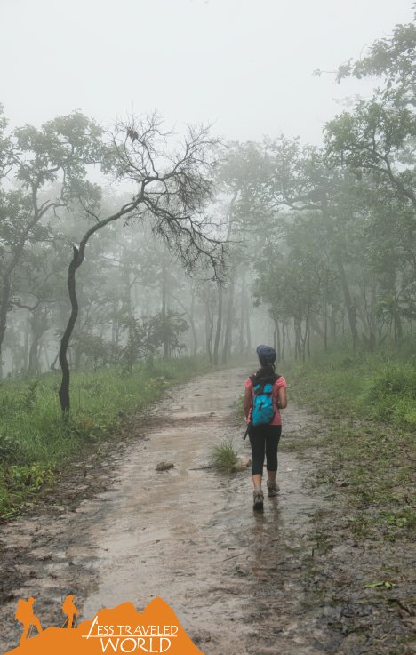 lesstravworld's tweet photo. Enjoying a good walk...
#saithong #nationalpark #chaiyaphum #chiayapum #thailand #hiking #travels #lesstraveledworld #outdoor #wanderlust https://t.co/IiZnsS98hW