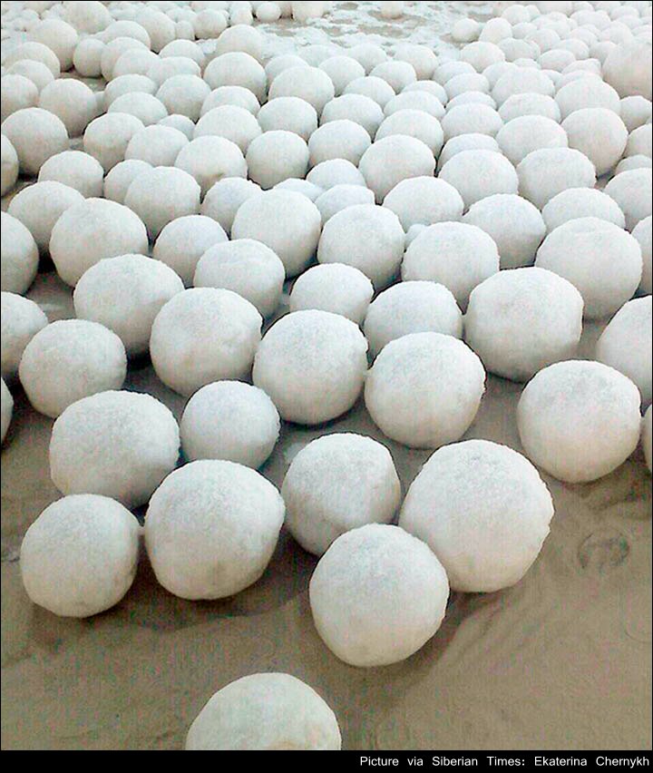 CGTNOfficial's tweet photo. Gulf of Ob in north Russia's Arctic shore witnesses “nature-rolled�� snowballs on the beach https://t.co/w08pu2FzUg