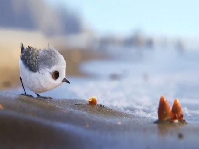 Corriere's tweet image. “Piper”, il nuovo bellissimo corto Pixar contro le paure goo.gl/QRdsYV