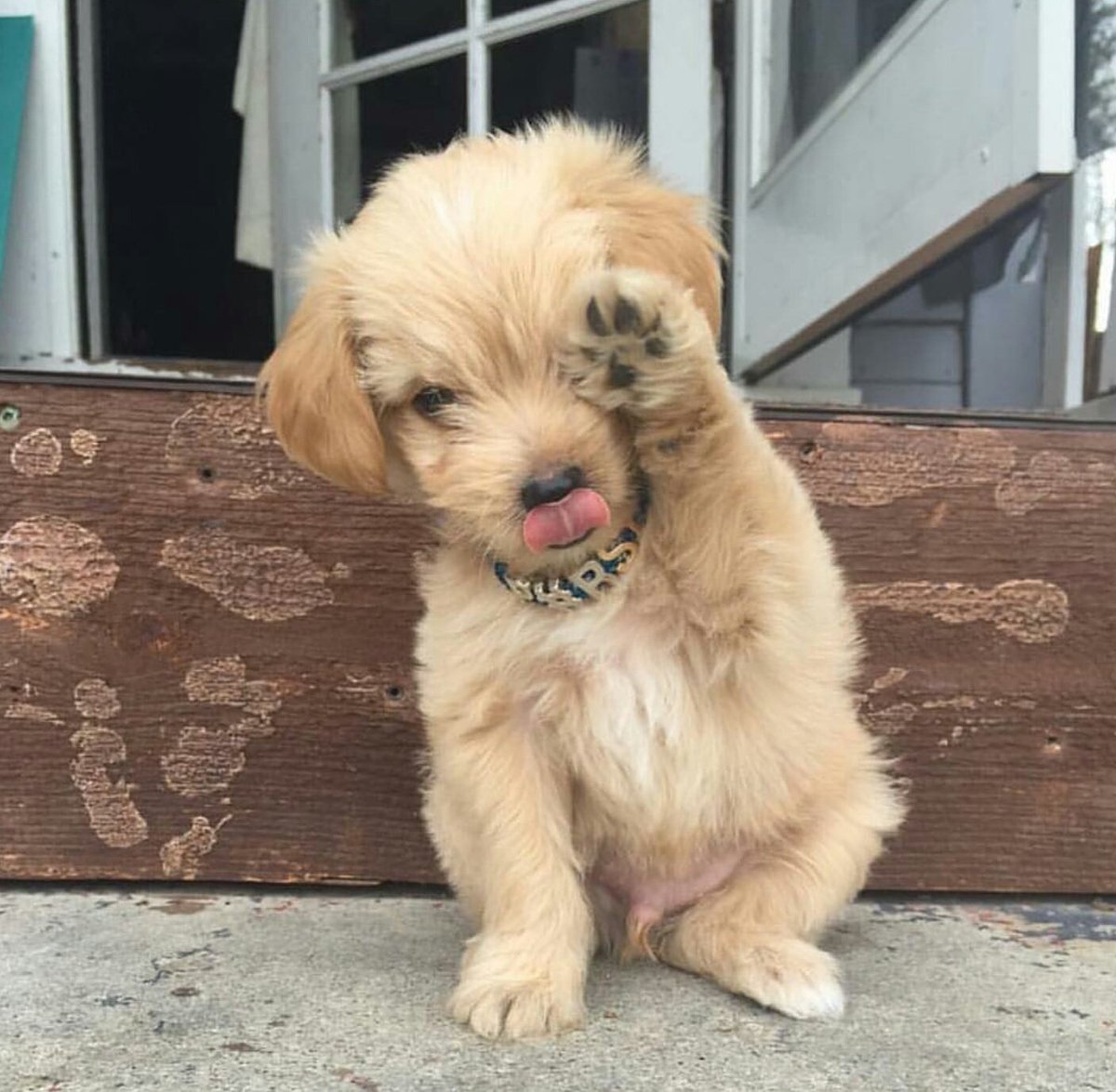 Trying to play hide and seek 🙈