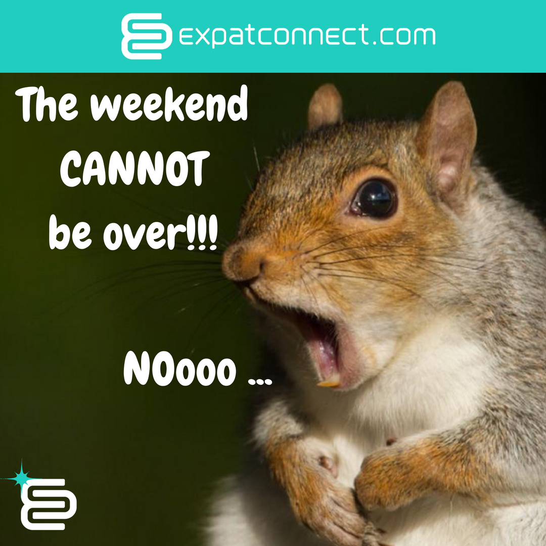 ExpatConnect's tweet photo. Hey buddy! Weekend will be here again in no time ;)
https://t.co/wuBwF3NBy3 https://t.co/MLoK7YoRZM