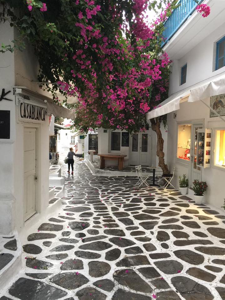 Image result for images Matogianni