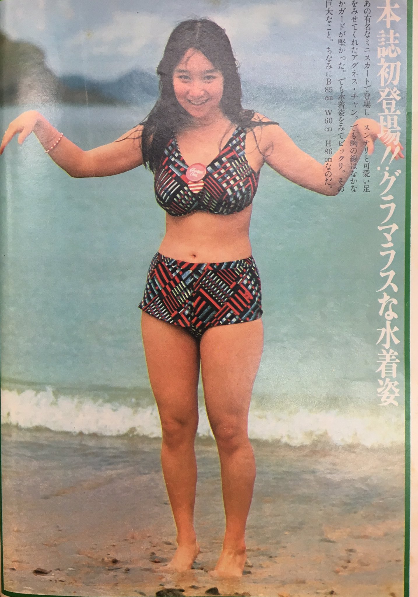 まんだらけ海馬札幌 沼の住人佐藤 Di Twitter 週刊プレイボーイ76年8月24日号 表紙は桜田淳子 そして巻頭カラーグラビアはアグネス ラム アグネスラムがいっぱいだ 褐色の女神がページをめくると現れます 巻末グラビアにはまたアグネス こちらは水着になったら