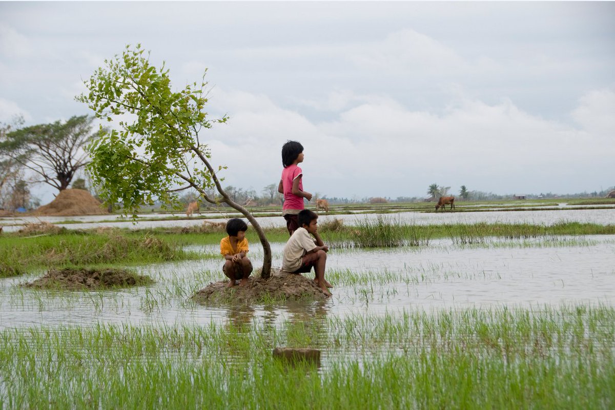 WFP's tweet photo. Building resilience to disaster risk &amp; #climatechange is crucial to ending hunger https://t.co/rXepyQvfuJ https://t.co/qIYL6dJFaS
