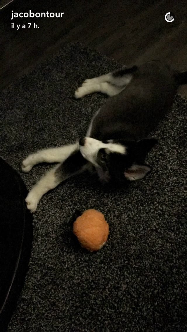 JacobWUpdatesFR's tweet image. #Photo : Jacob via snapchat