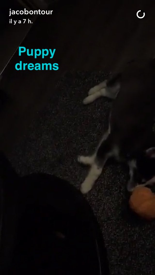 JacobWUpdatesFR's tweet image. #Photo : Jacob via snapchat