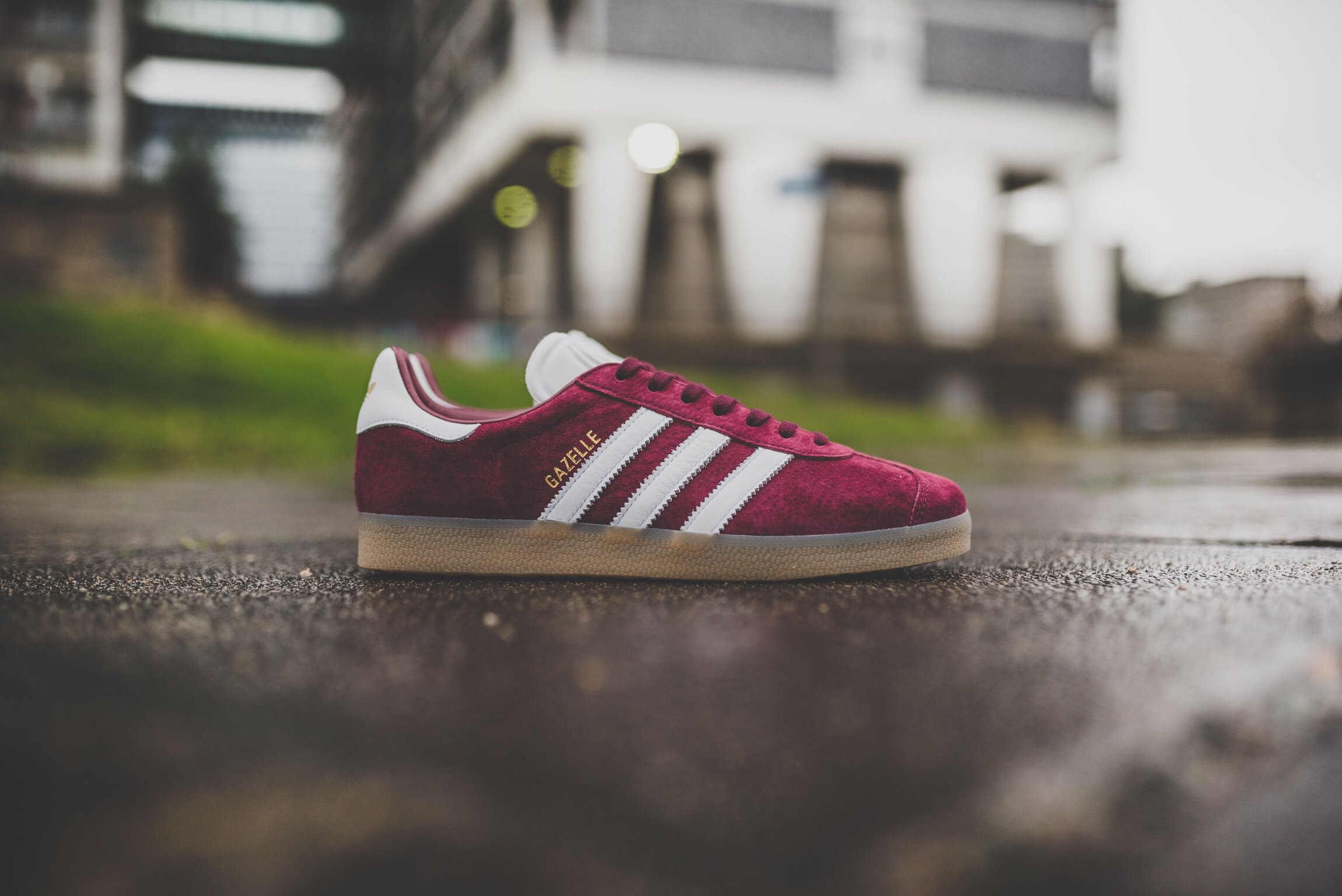 ponerse en cuclillas Policía Recomendación HANON on Twitter: "adidas Gazelle “Maroon” is available to buy ONLINE now!  #hanon #adidas #gazelle https://t.co/hzqYhhU0aS https://t.co/bKeOvaNLek" /  Twitter