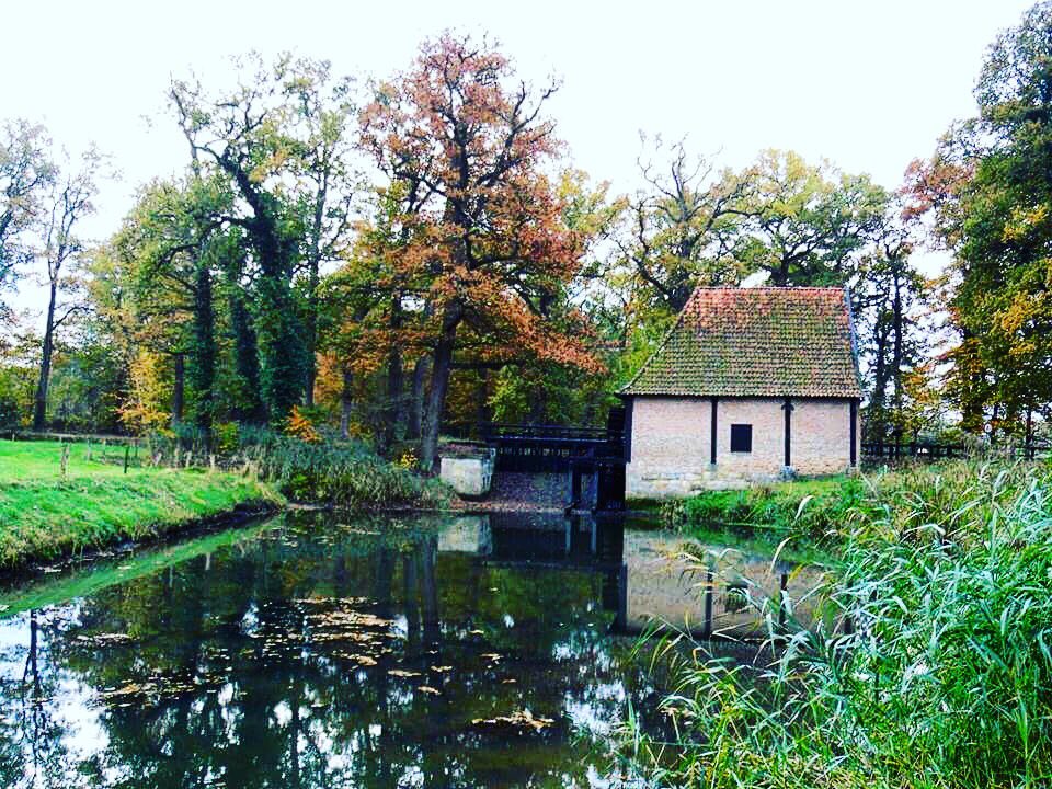 JSpilleman's tweet photo. #wandeling op landgoed #twickel  in #delden , prachtig met al die #herfsttinten https://t.co/KPCxeNYuhc