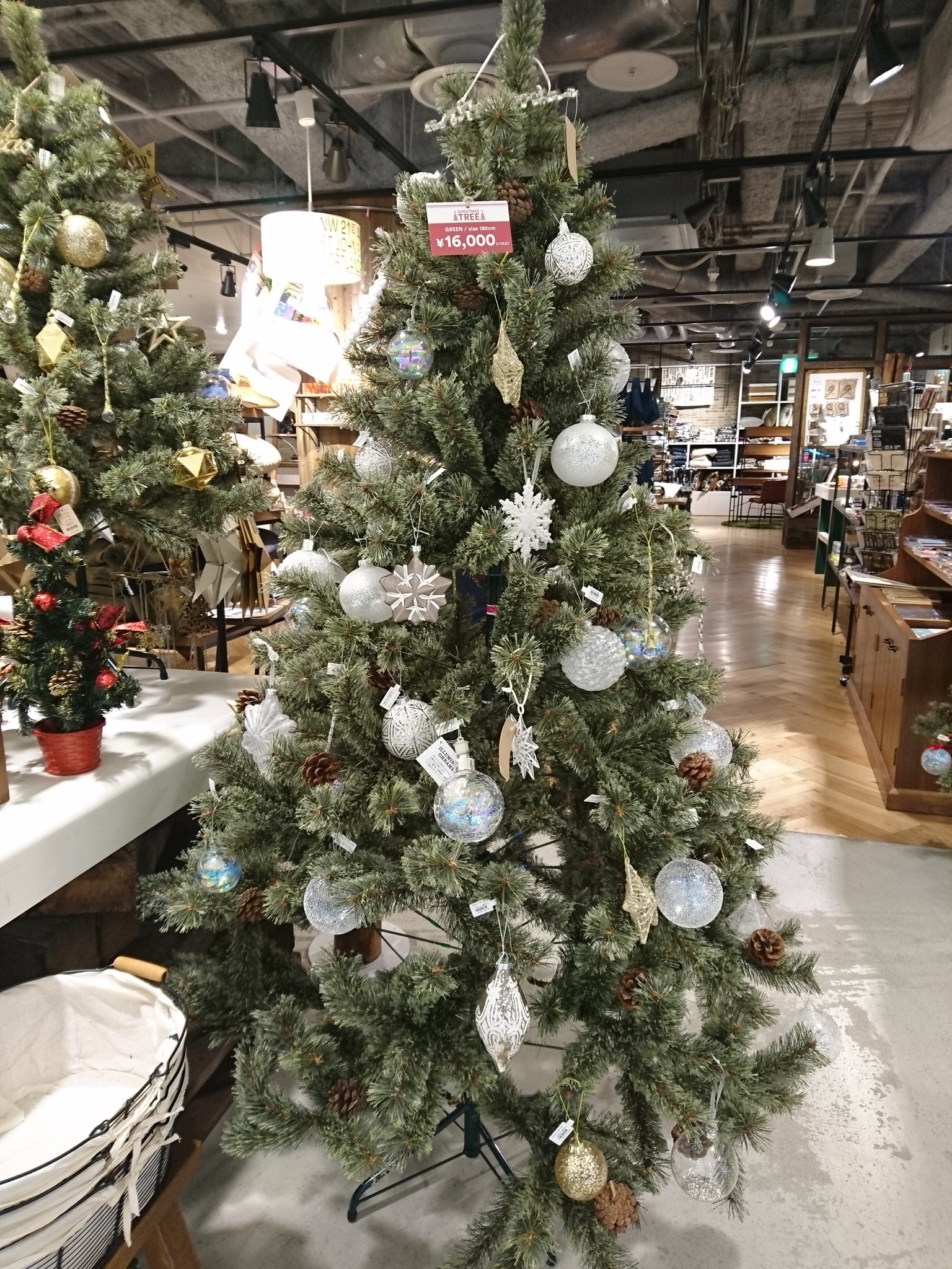 ニコアンド クリスマスツリー 180 センチ ツリーのみ 名古屋PARCO