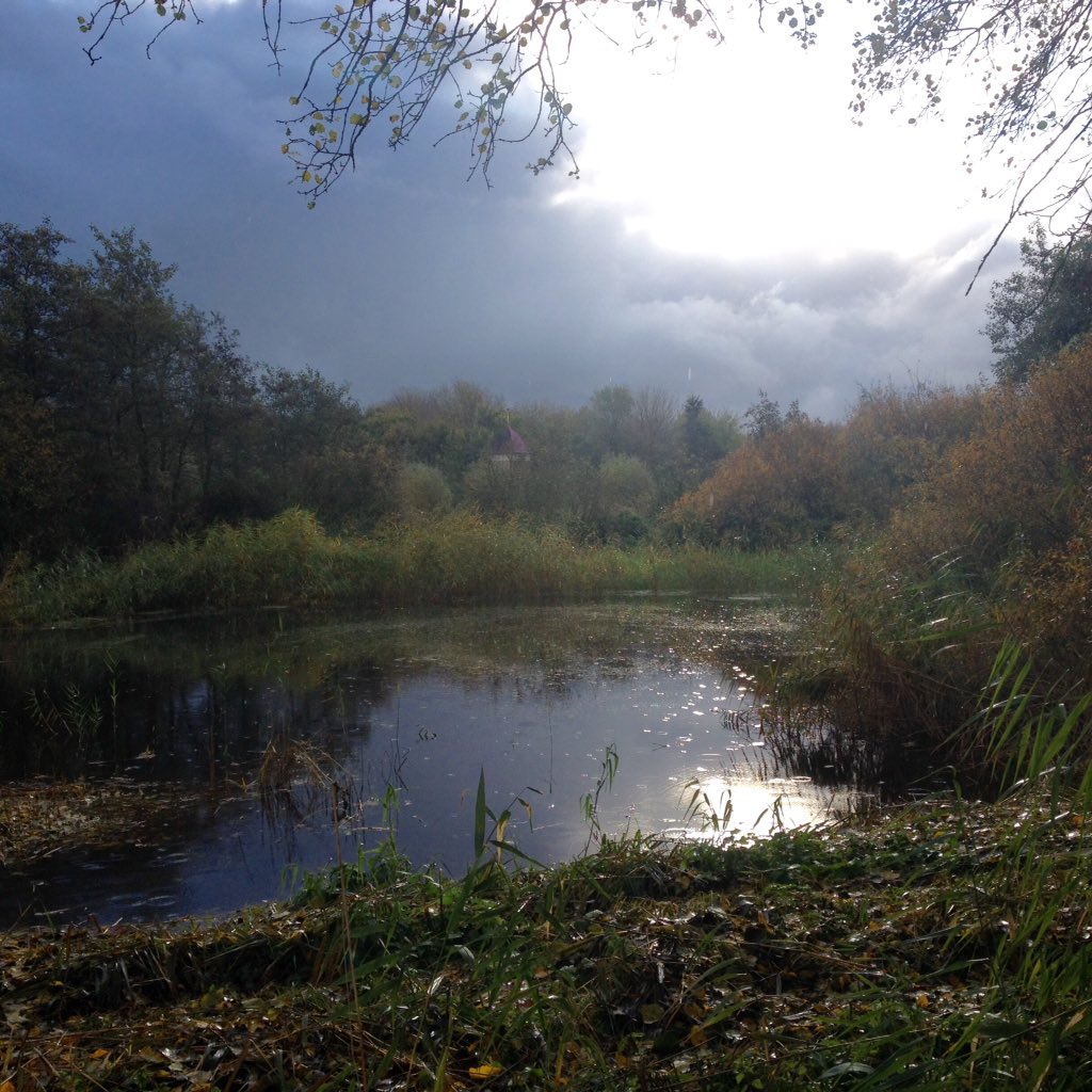 Bron: Ronald Sunnotel