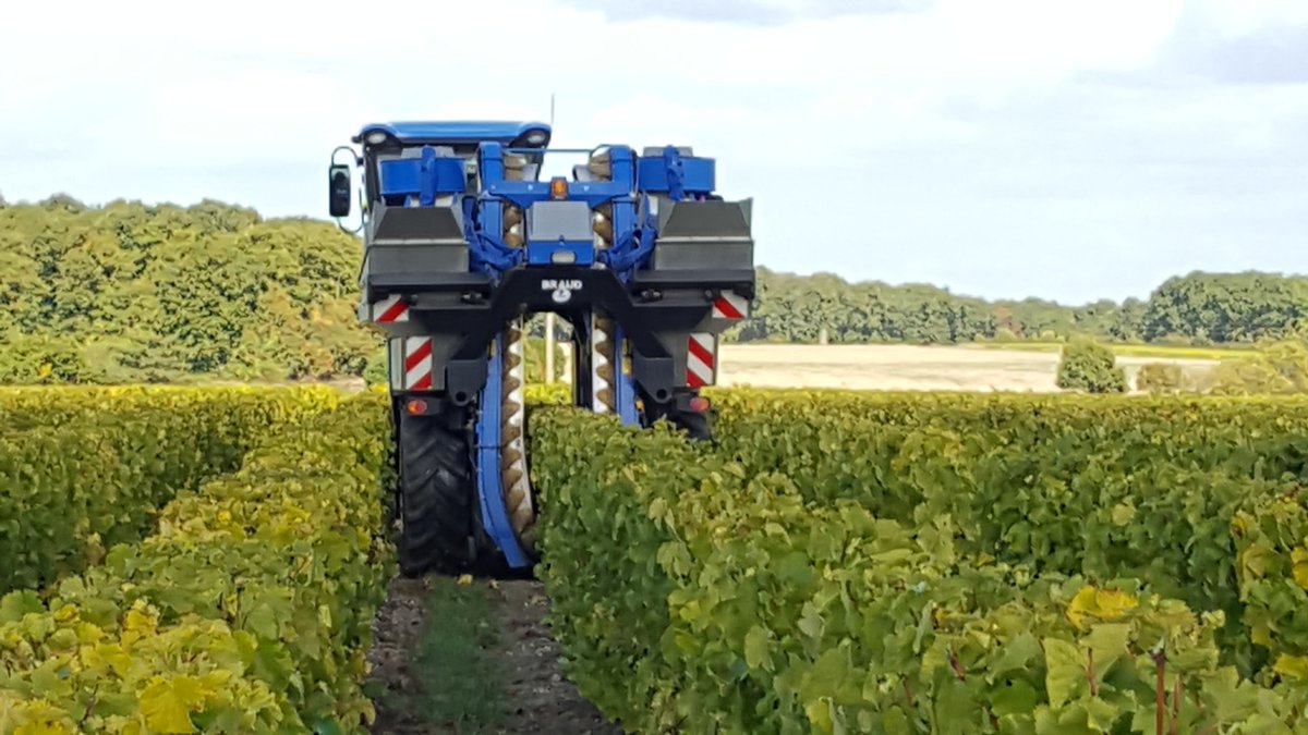 Les vendanges sont finis, venez déguster notre bernache.

Pour en savoir plus sur notre domaine : maisonpeltier.fr