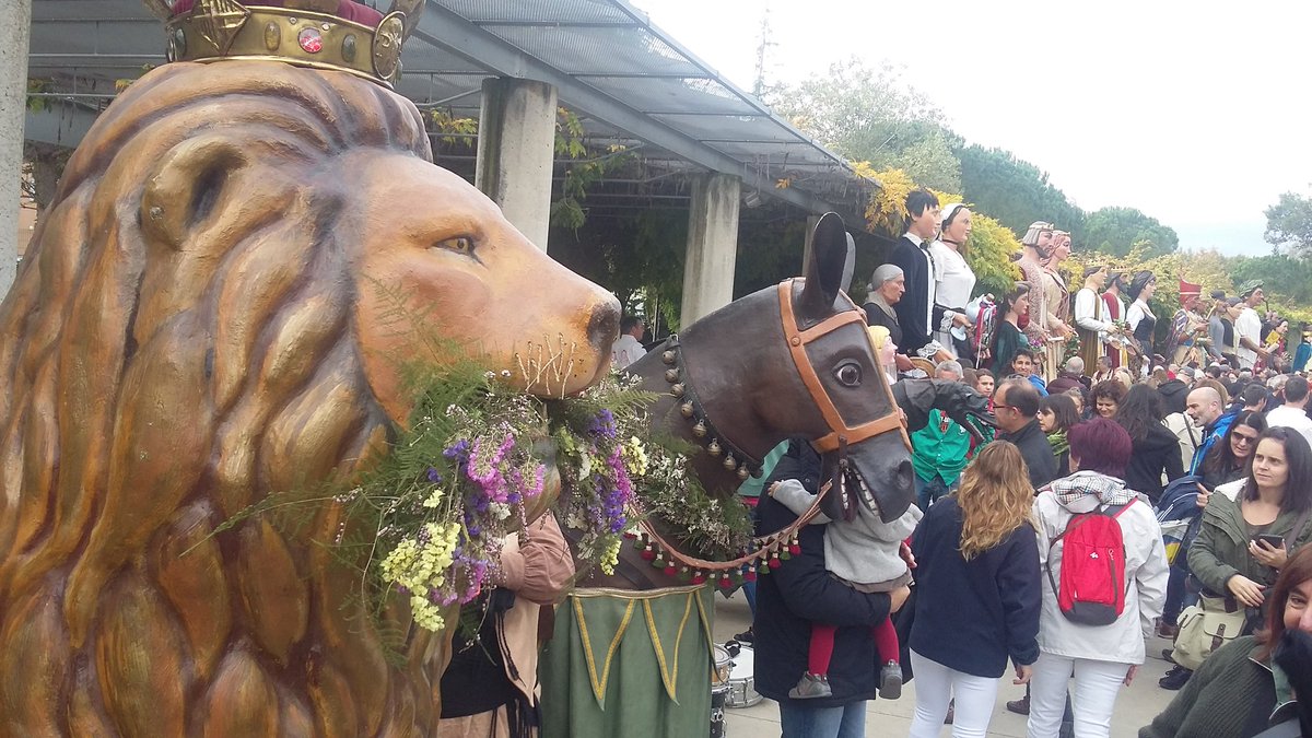 gegantsdelpi's tweet photo. El #Lleó i #Mulassa ja són a #Girona! #Fires2016 @girona_cat @GironaLV @cultura_gi @fgironina @cultpopular_cat https://t.co/2ULoPqsi9E