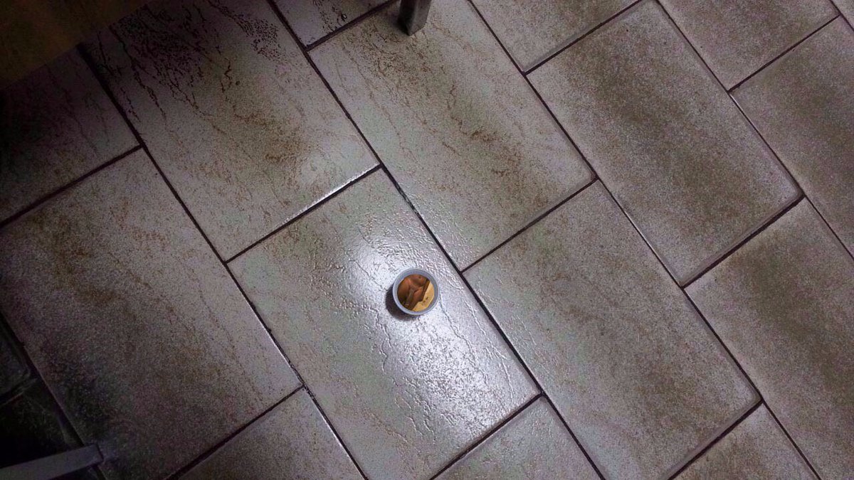 GoodLuckmatRep's tweet image. Guys, zoom in to look at the photo of a baby elephant. Damn cute sial.