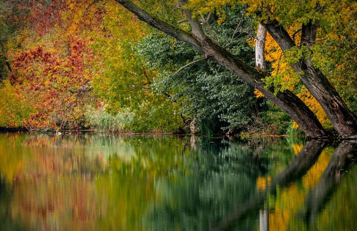 RT <a href="/FrootNL/">Froot.nl</a>: 9 reden waarom de herfst een prachtig seizoen is dlvr.it/Mbz7cC