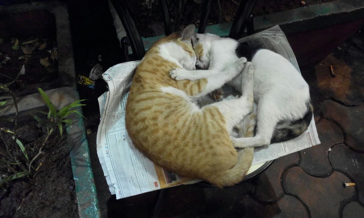 aks32409's tweet image. #2Is better than 1