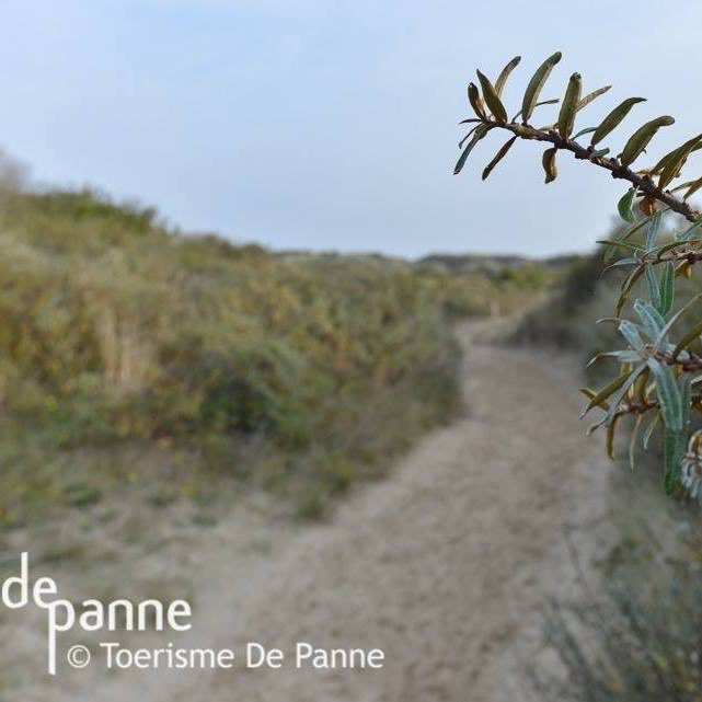 De Panne, de plaats bij uitstek om te ontspannen. Mooi in ieder seizoen, 365 dagen per jaar!