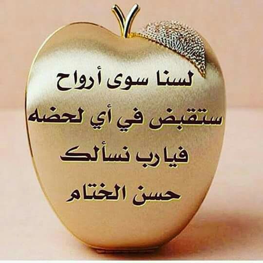 baker20142014's tweet photo. لا إله إلا أنت سبحانك إني كنت من الظالمين 🌾🌾
 #غرد_بصورة_لذكر_الله https://t.co/PJLddnZ6Br