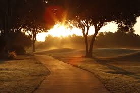 smorrisProCare's tweet photo. #Rise and Shine https://t.co/jsSYAqCz00