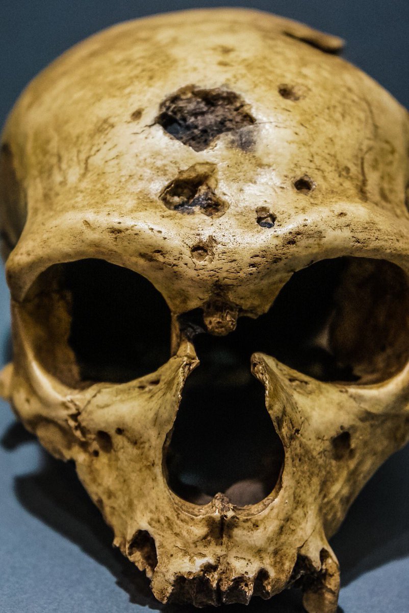 HIDEO_KOJIMA tweet media