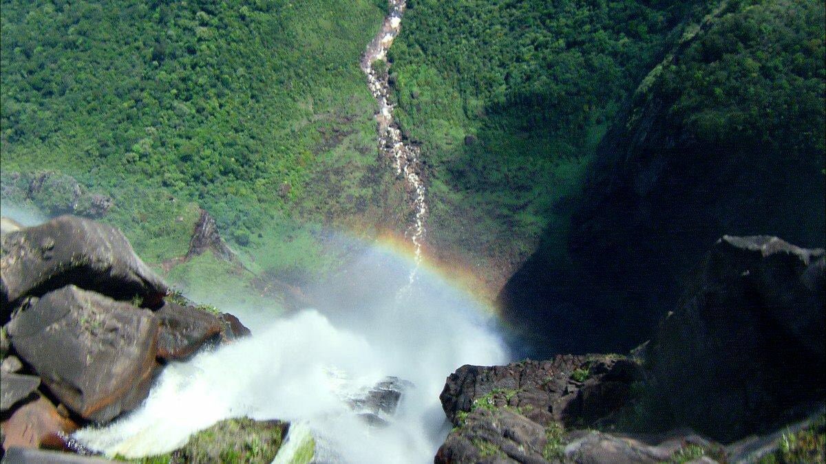 Continue to rediscover the magic of the original series of Planet Earth all day today on Eden. #planetearth2