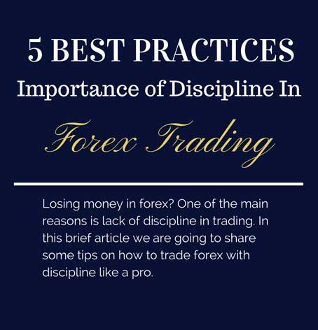 Best forex traders on twitter