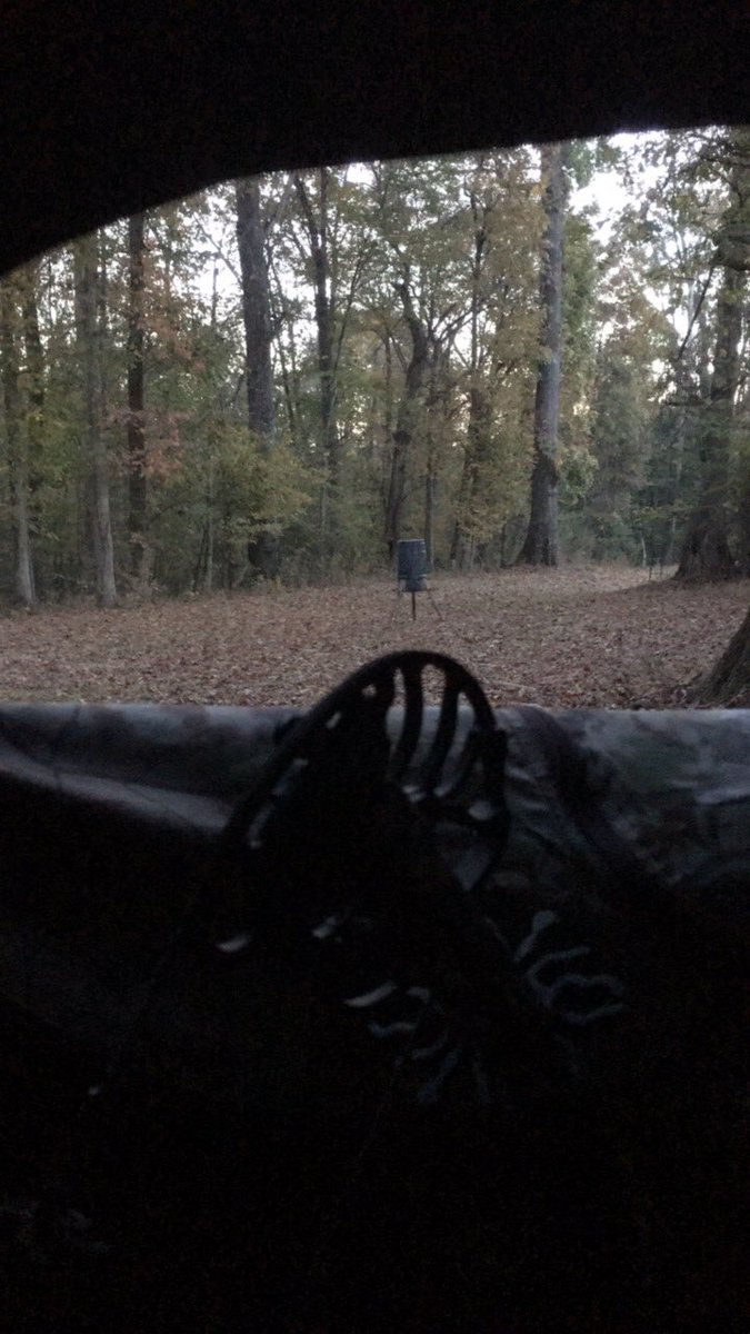 pmviner's tweet photo. Cooler weather is finally here. Bucks are on the move. https://t.co/eM5KLVGCDT