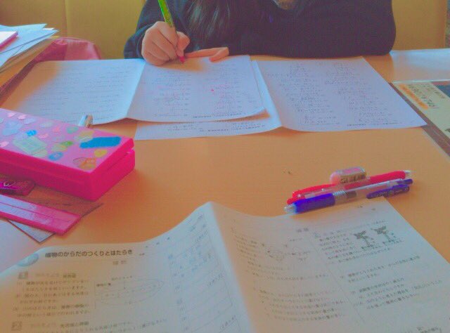 JELLY_MON78's tweet photo. study ✏📚

まじめにやった つもり 💁🏾🔅

 #いいなと思ったらRT 
 #RTした人全員フォローする https://t.co/Bu7cNDw5Tz