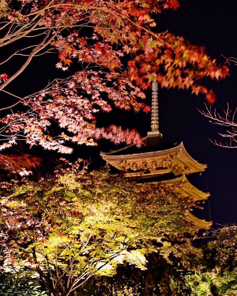 epplife's tweet photo. #instagram 
東寺 夜間特別拝観
・
紅葉のピークにはまだちょっと早かった。うん、知ってたよ
・
・
#紅葉 #五重の塔 #世界遺産 #東寺 #京都 
#redleave… https://t.co/WJ8C2uOmog https://t.co/kbLecrsB0s