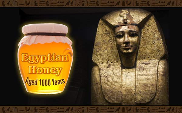 ChristiaSimons's tweet image. 10 Emergency Foods That Will Never Expire
READ HERE

bit.ly/1T0OOgl