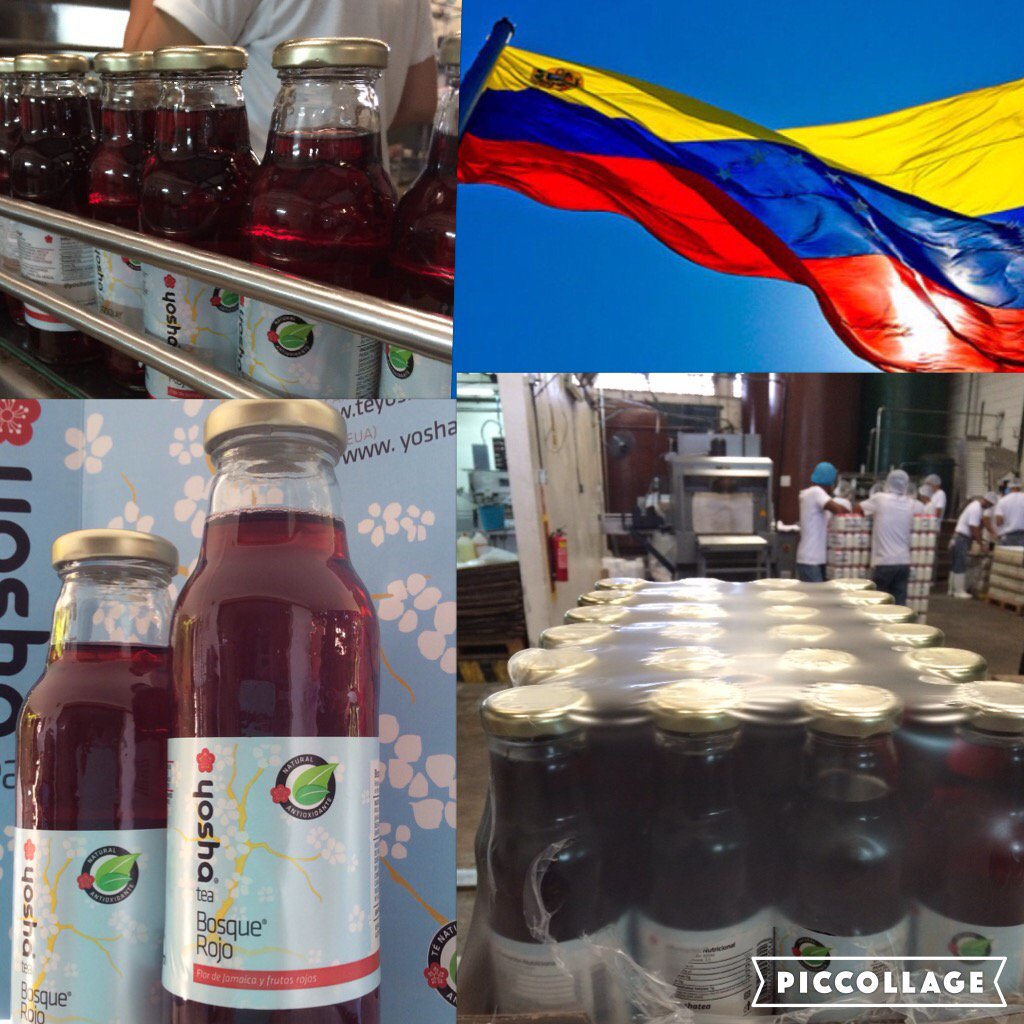 Té Yosha tweet media