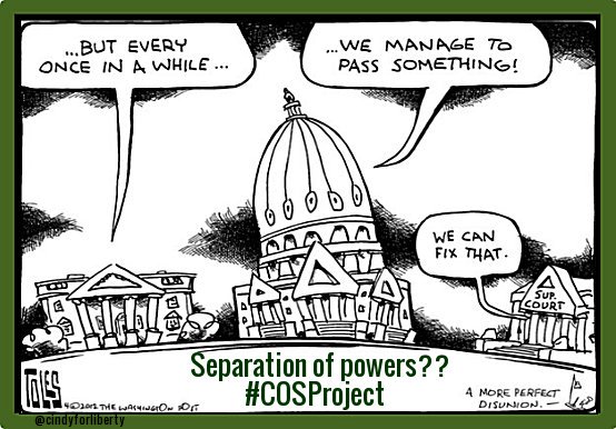 MT <a href="/WiggersLynn/">Lynn Wiggers</a>: #ConventionofStates can restore the Separation of Powers! #TermLimits #ArticleV #PJNET