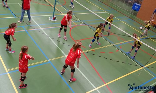 MintoTweet's tweet photo. Wedstrijdverslagen #Mintonette A1, H1, CMV 3 en CMV 4, wedstrijdfoto's van alle spelende teams op onze website https://t.co/pyngLFaZLa. https://t.co/TZTR1WHHZn