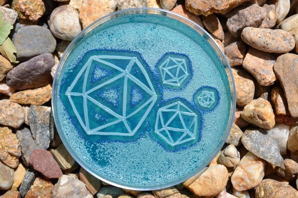 ThePsychoMicro's tweet photo. RT @bido096 "Scientists Create Cool and Amazing Art from Bacteria 
#Agar_Art https://t.co/V65qH8LIXk"
