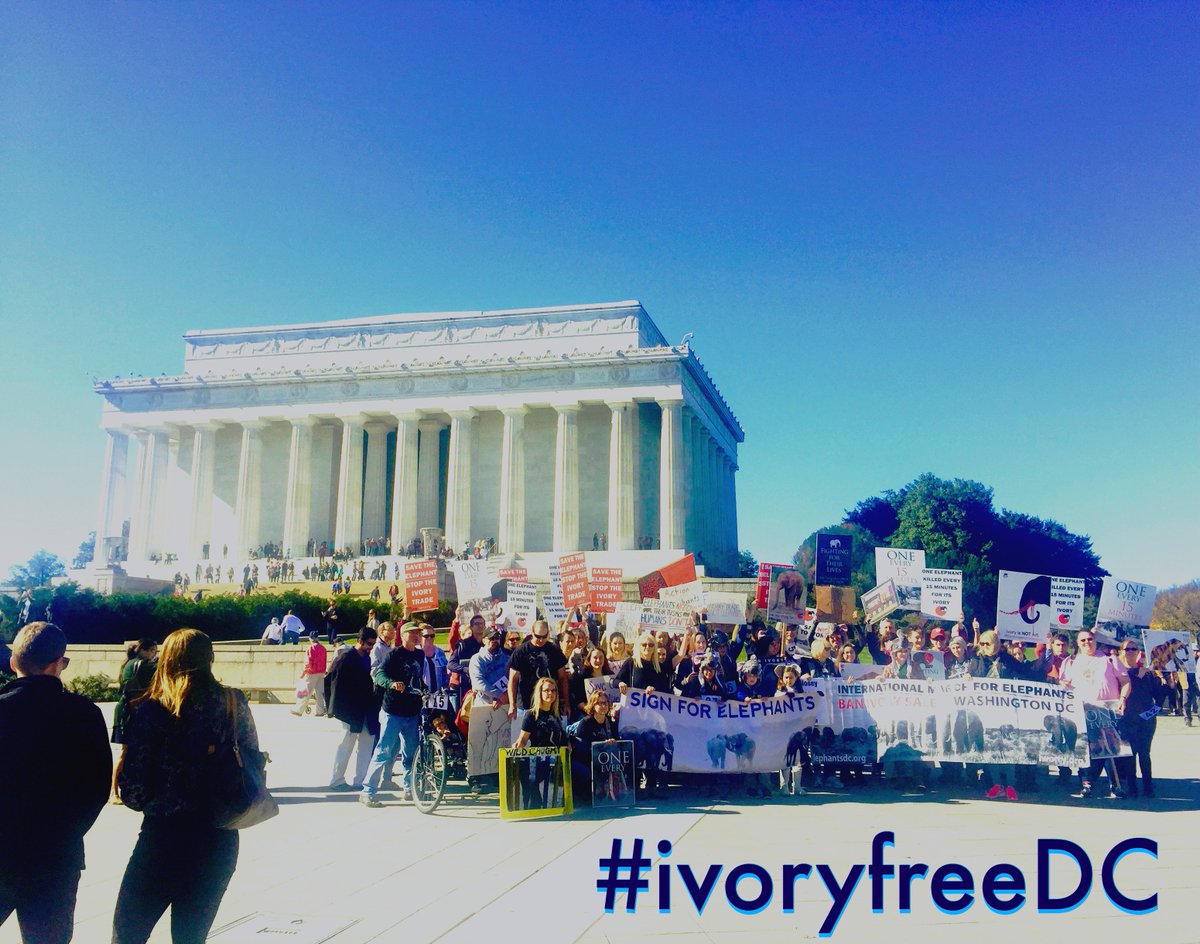elephantsdc's tweet photo. #MarchAgainstExtinction continues as @CITES votes to harm, hurt & kill 'some' elephants for profit, power & vanity.
#ivoryfreeDC #speciesism https://t.co/xxupELK3ow