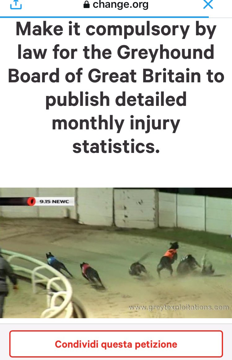 Hopeesperanz's tweet image. ‼️important‼️⬇️
‼️Sign and share ‼️
#greyhounds
 #Stop #greyhoundracing 
change.org/p/the-departme… via @ChangeItalia