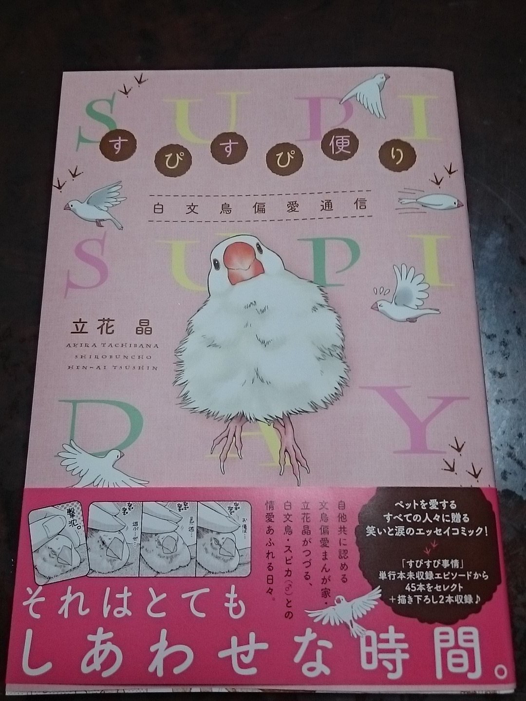 すぴすぴ便り Twitter Search Twitter