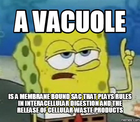 VoteVacuole2016's tweet photo. The vacuole is ready to serve! #votevacuole #cellvote16 @bulleribio https://t.co/SGKGA9iskF