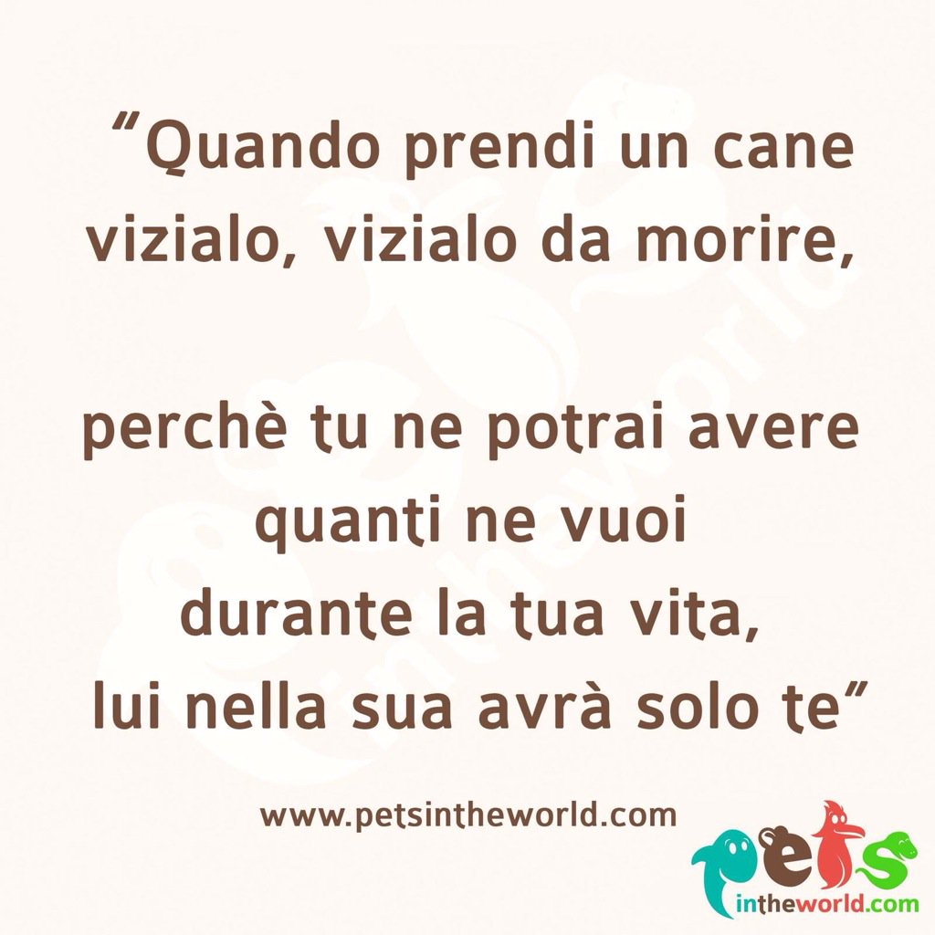 petsintheworld's tweet photo. Questo vale per tutti gli #animali perché sono parte della #famiglia . E voi gli viziate i vostri piccoli?! Noi SI!! https://t.co/5tSZKfbPUL