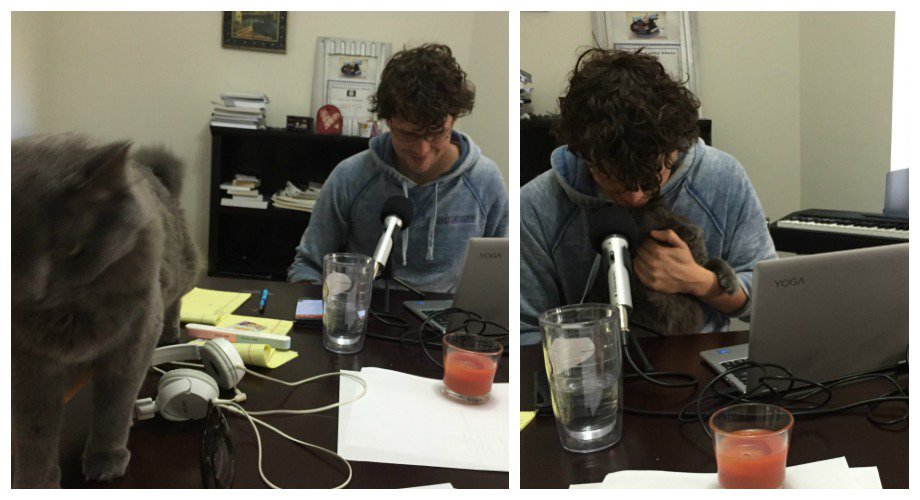 SpielChicago's tweet image. @cbashen #CatCasting #Podcats #nerdoutcast