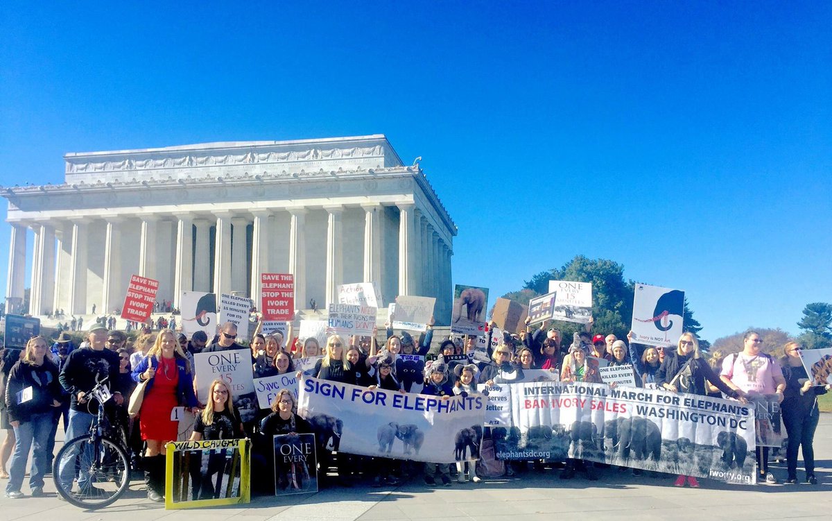 jenpoetess's tweet photo. Grateful to stand against #extinction at 4th annual International March for #Elephants in Washington #DC with friends & family.
#ivoryfreeDC https://t.co/oZASHXuYYK