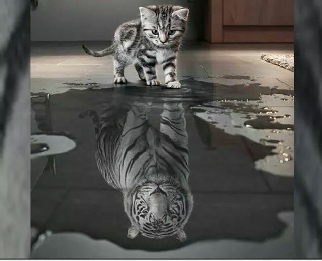 Tokunoとくの tweet media