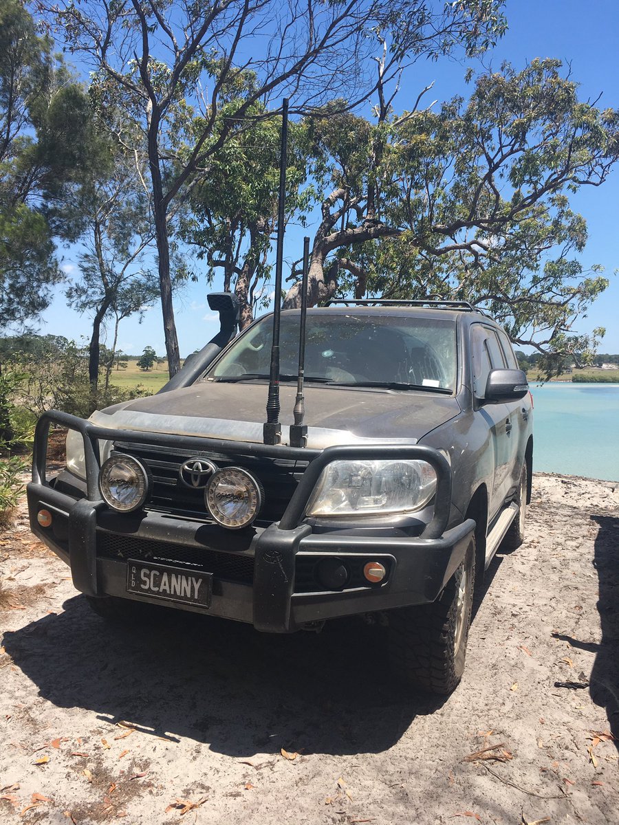 Nicole Borcovsky tweet media