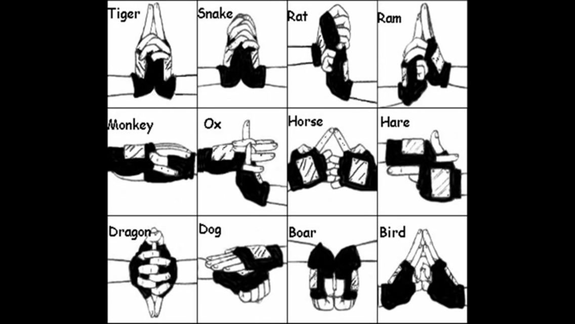 The twelve general naruto hand signs used by most all ninjas. 