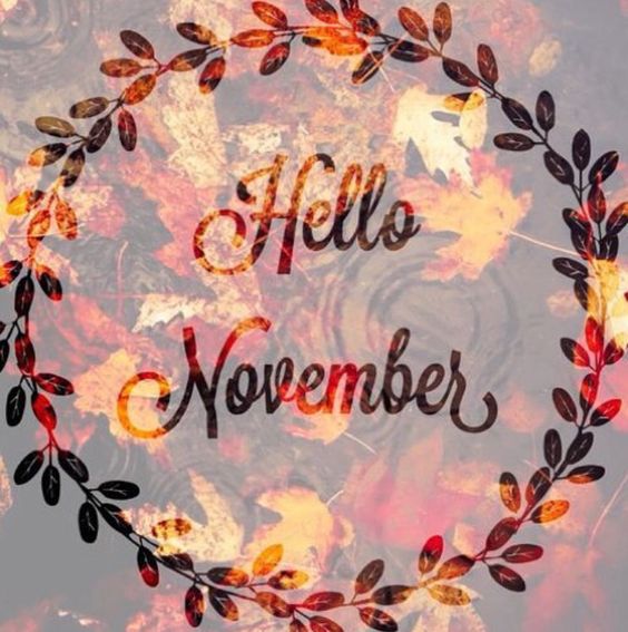 flywithkula's tweet photo. November News from Kula - Come Celebrate 4 years with us! https://t.co/wlu3JavCLR https://t.co/SQFAqkEUHx